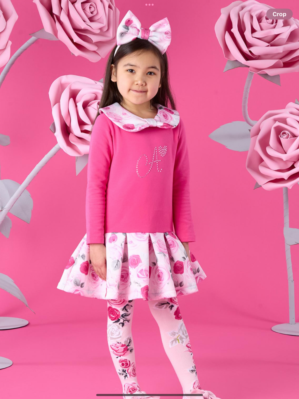 Avelorie Baby Winter Bloom Aspen Rose Print Drop Waist Dress - Fuchsia 0726788