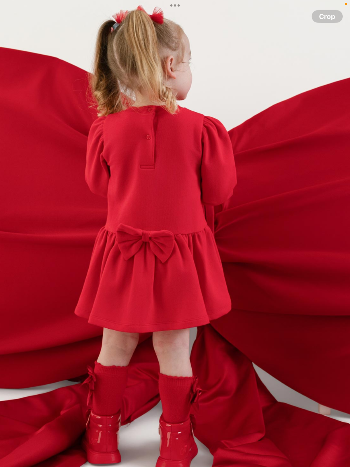 Avelorie Baby Girls Little Locket Collection Esme Sweat Dress - Red 0826834